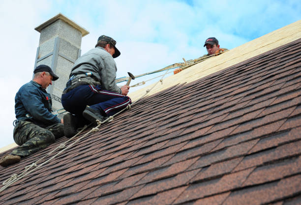 Best Roofing Contractor Near Me  in Castle Hills, TX
